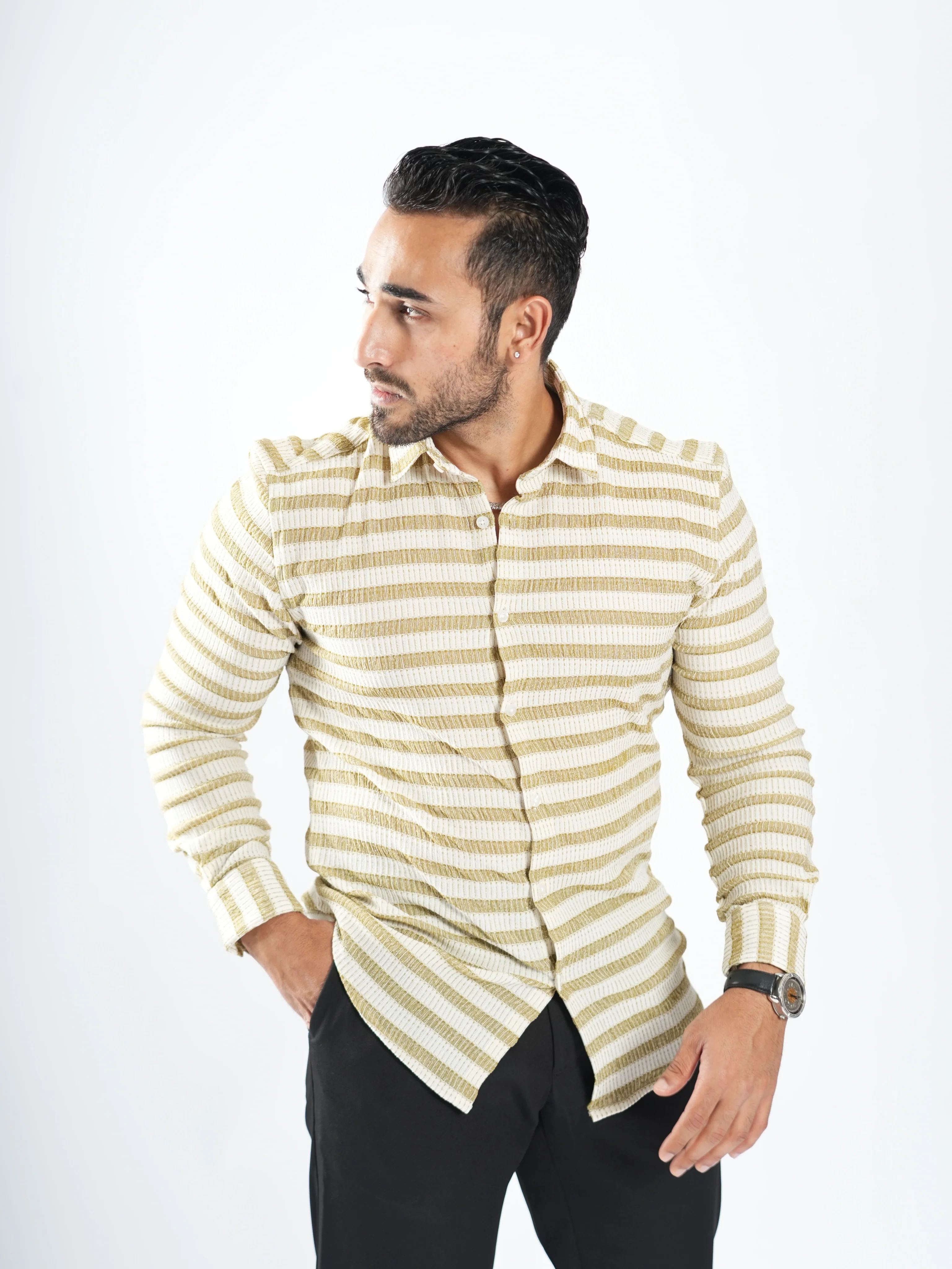 Royale Party Wear Striped Shirts - Image 24